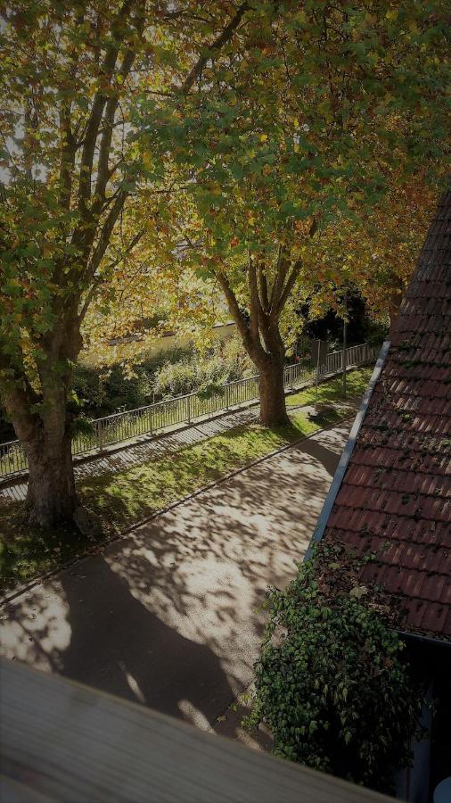 Weinsheim  Haus Mit Seele Im Nahetal מראה חיצוני תמונה