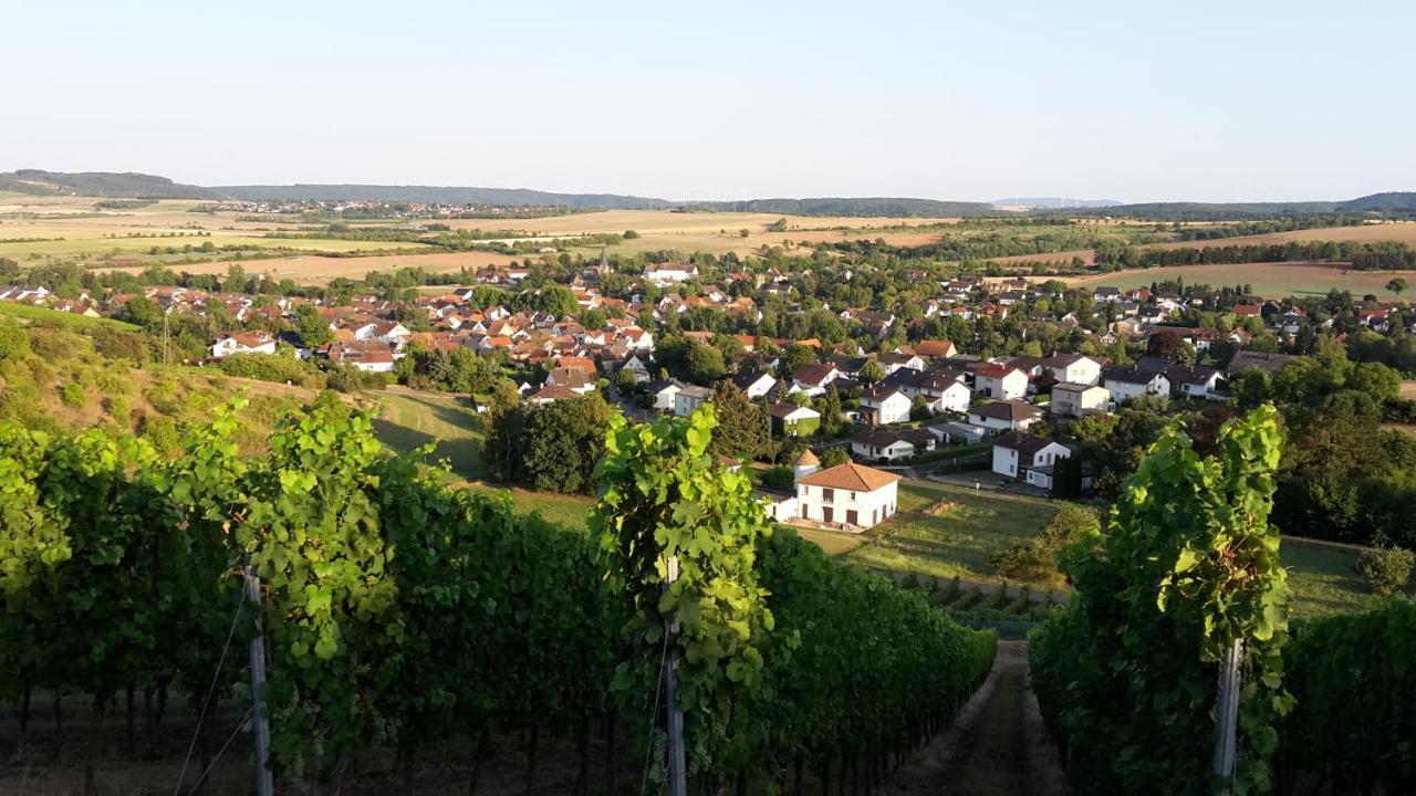 Weinsheim  Haus Mit Seele Im Nahetal מראה חיצוני תמונה