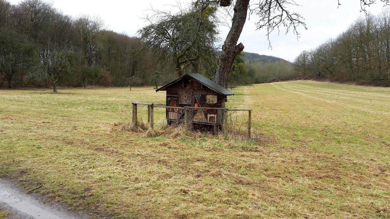 Weinsheim  Haus Mit Seele Im Nahetal מראה חיצוני תמונה