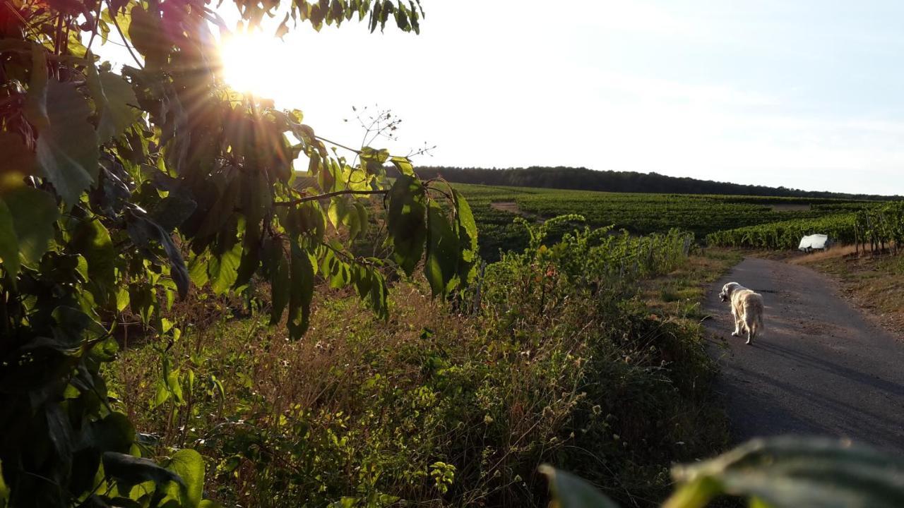 Weinsheim  Haus Mit Seele Im Nahetal מראה חיצוני תמונה