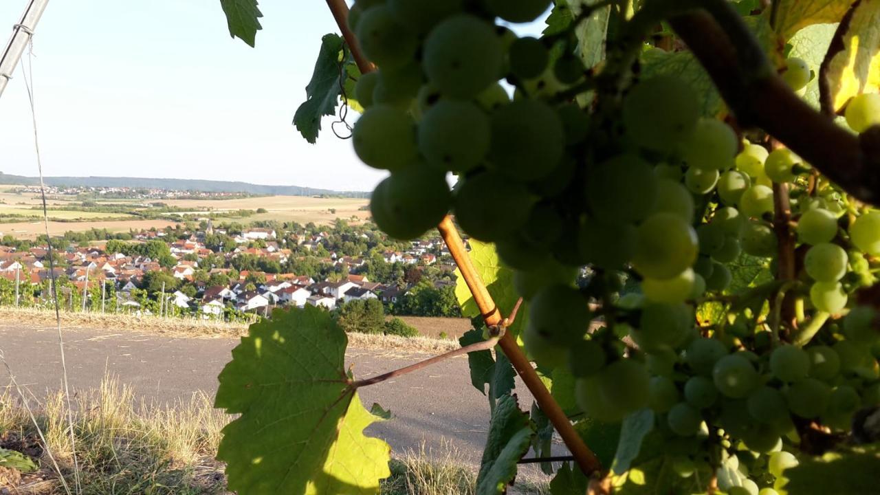 Weinsheim  Haus Mit Seele Im Nahetal מראה חיצוני תמונה